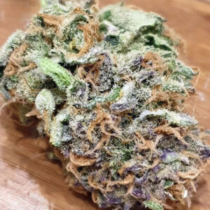 Purple Stardawg [Femz.]